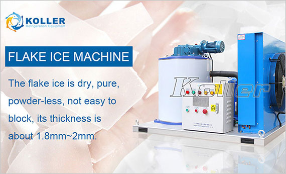 icemakerkoller-Flake-Ice-Machine-KP10-SAAS01.jpg