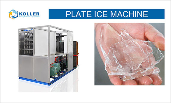 icemakerkoller-Plate-Ice-Machine-PM30-SAAS01.jpg