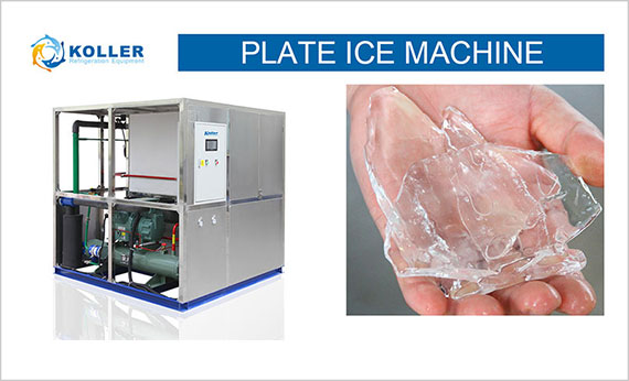 icemakerkoller-Plate-Ice-Machine-PM50-SAAS01.jpg