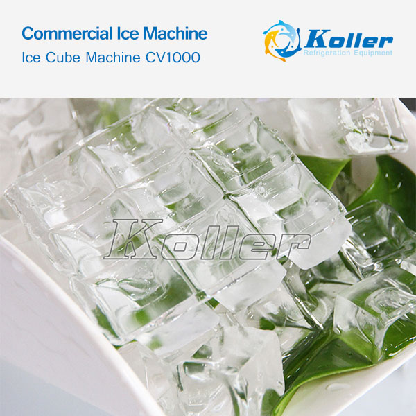 icemakerkoller-Commercial-Ice-Machine-Ice-Cube-Machine-CV1000-04.jpg