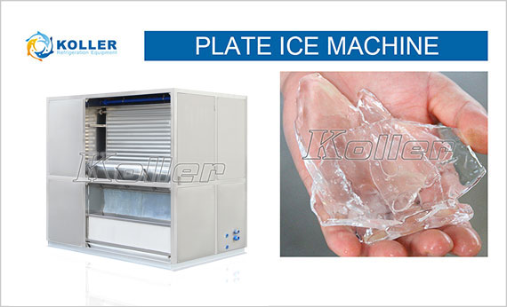 icemakerkoller-Plate-Ice-Machine-PM10-SAAS01.jpg