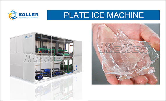 icemakerkoller-Plate-Ice-Machine-PM150-SAAS01.jpg