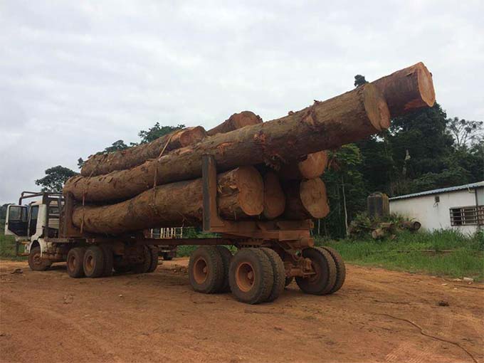 wood log trailer 