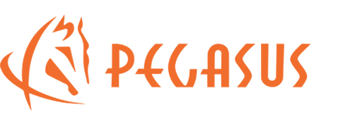 pegasus logo-底部.jpg