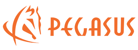 pegasus logo-横01.jpg