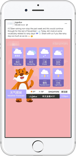 在线教育选择聚页创意作为Facebook广告服务商