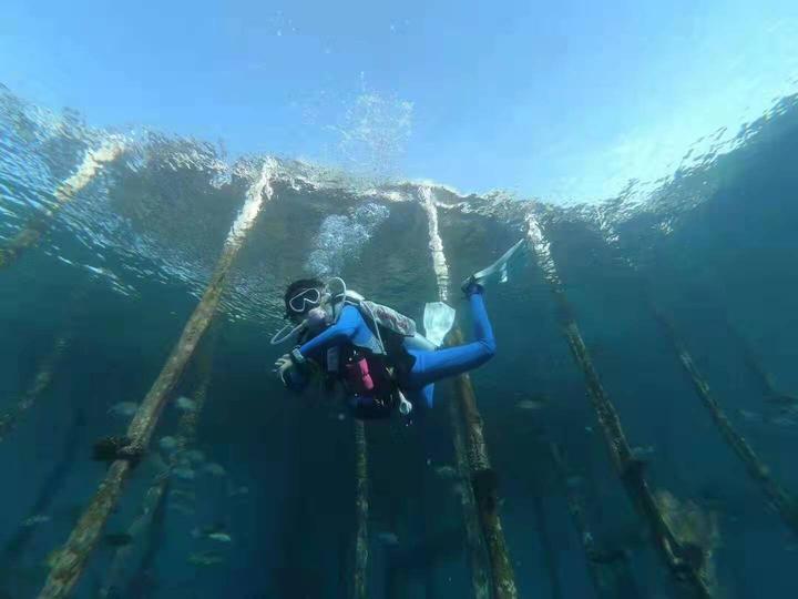 211214 Xiamen Diving Association was established-3.png