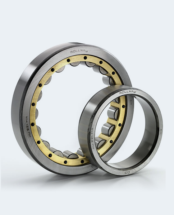 Cylindrical-roller-bearing-560x690-01.jpg