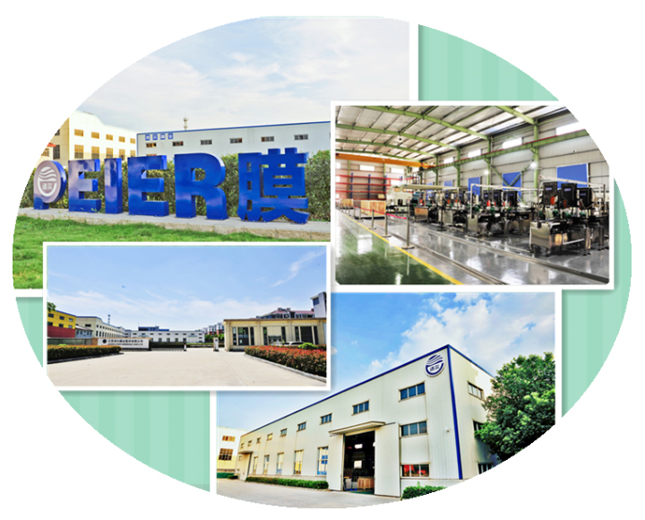 About Peier-pic001.jpg