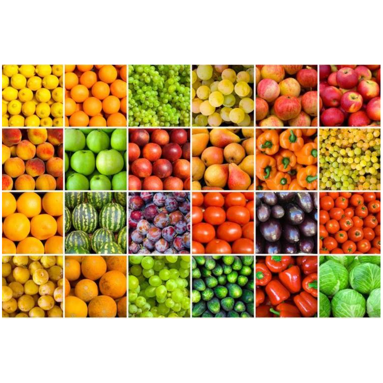 F ozone sterilization-ozone cleaning 