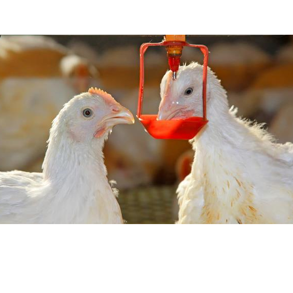 ozone water-ozone washing-ozone cleaning 