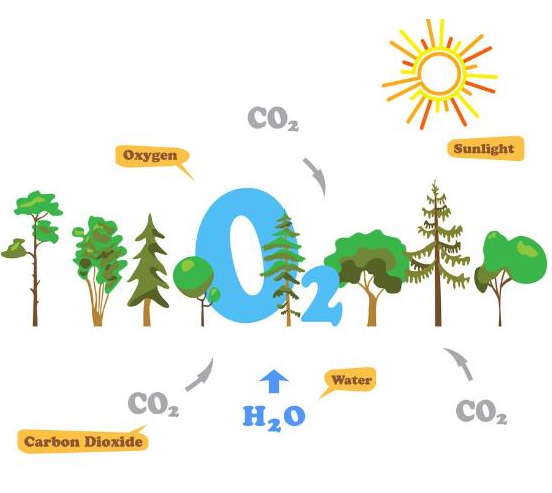 ozone washing-ozone laundry