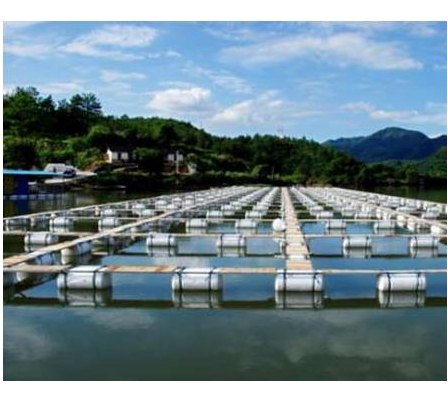 ozone generator-ozone water