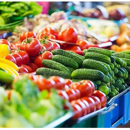 ozone purifier-ozone generator 