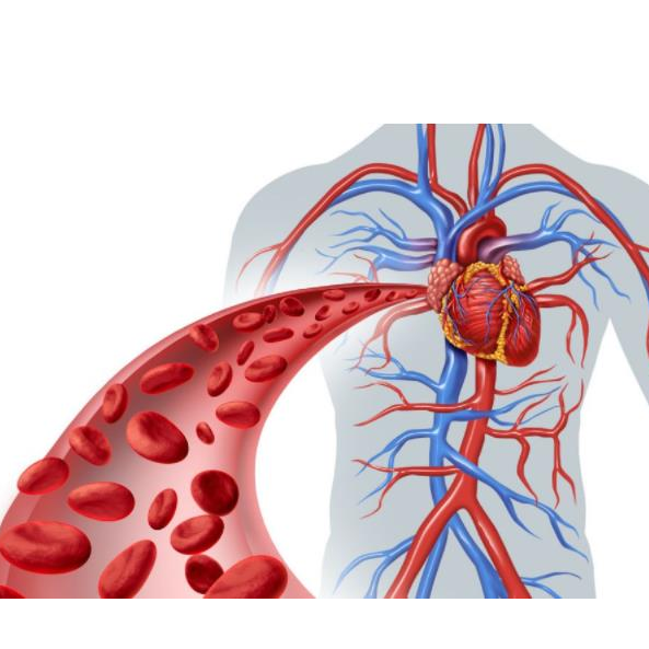 ozone threapy-ozone generator 