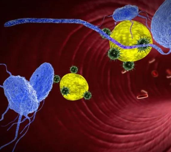 ozone threapy-ozone cleaning-ozone laudnry