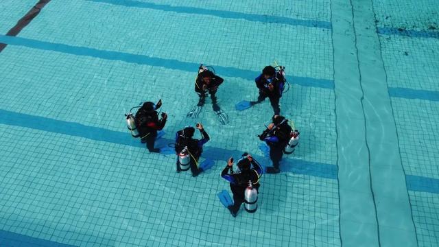 220610 Diving lessons These college courses are so interesting 5.jpg