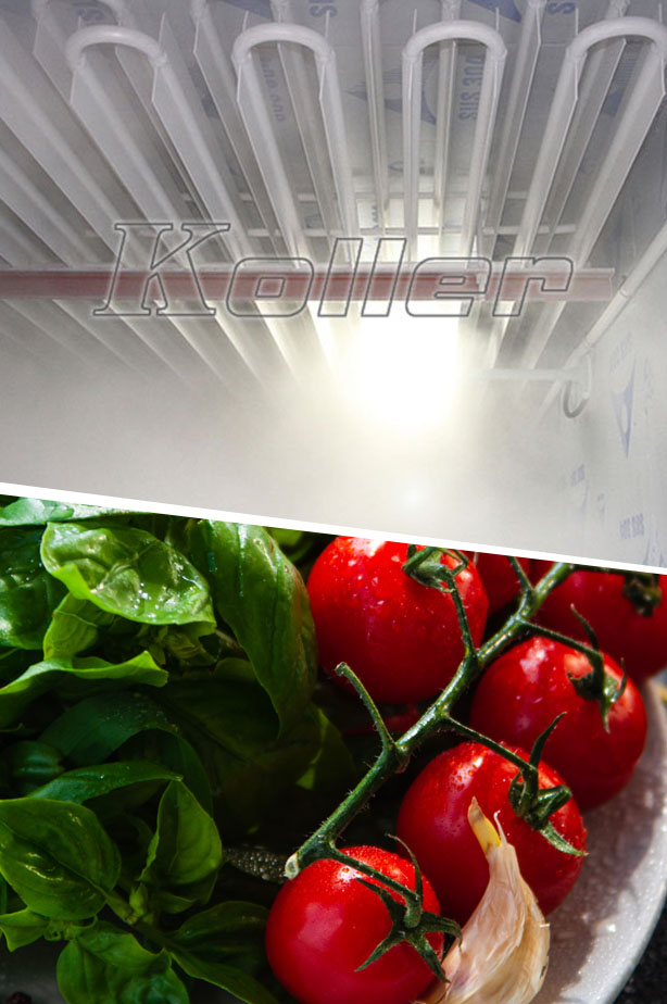 icemakerkoller-Application-Vegetables-&-Fruits-&-Transportation02.jpg