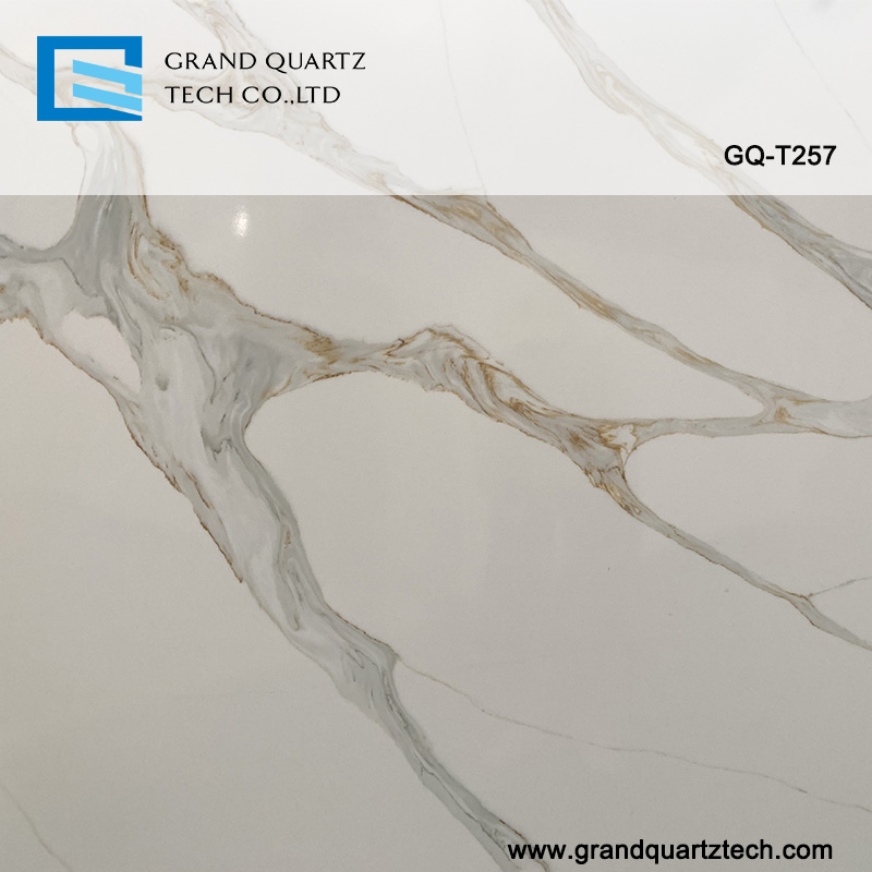 GQ-T257-quartz-detail.jpg 