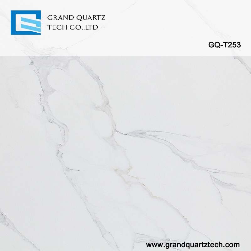 GQ-T253-quartz-detail.jpg 