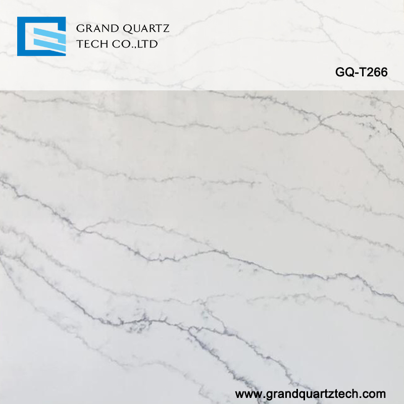 GQ-T266-quartz-detail.jpg