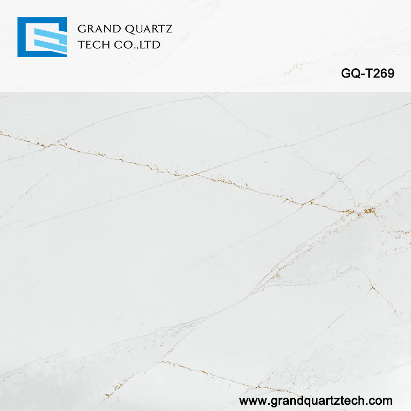 GQ-T269-quartz-detail.jpg