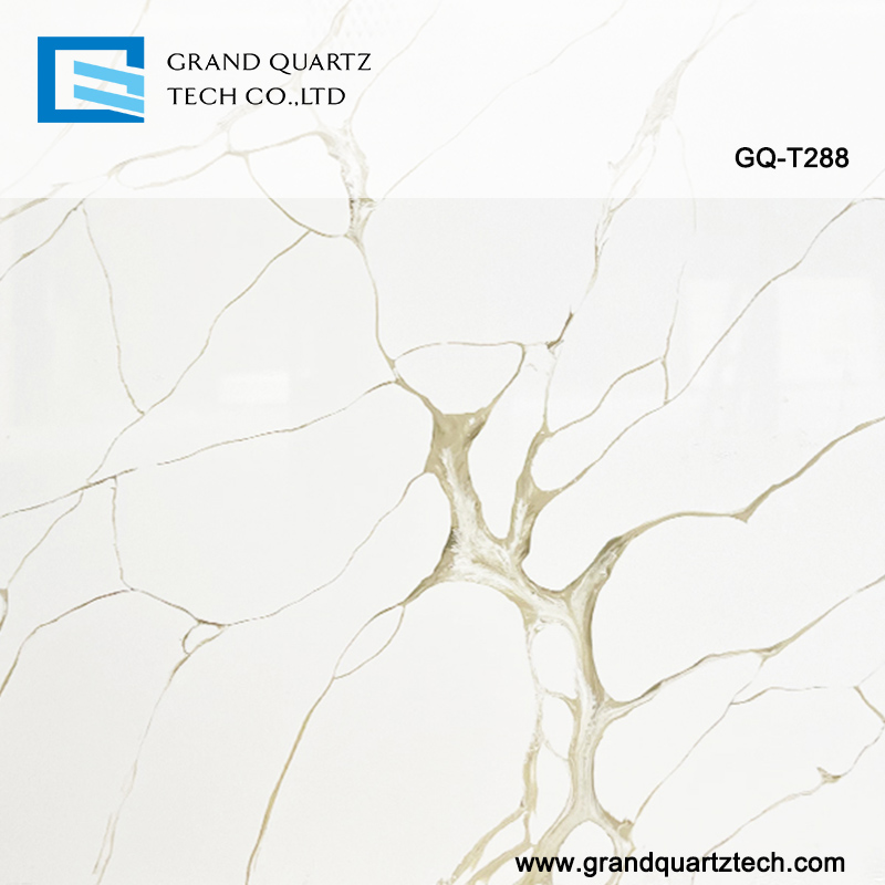 GQ-T288-quartz-detail.jpg 