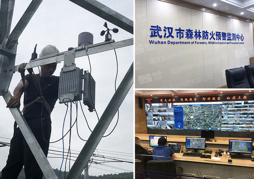 仪谷55套气象环境监测仪助力武汉市森林火险预警二期项目-02.jpg