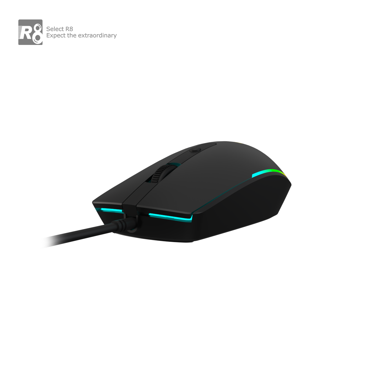 L362 透明主图 (2).png