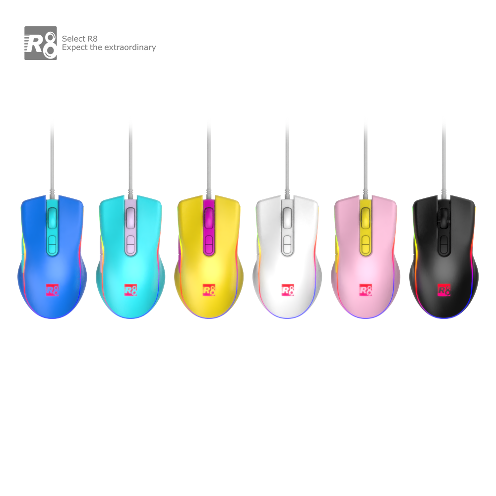 L404 透明主图 (1).png