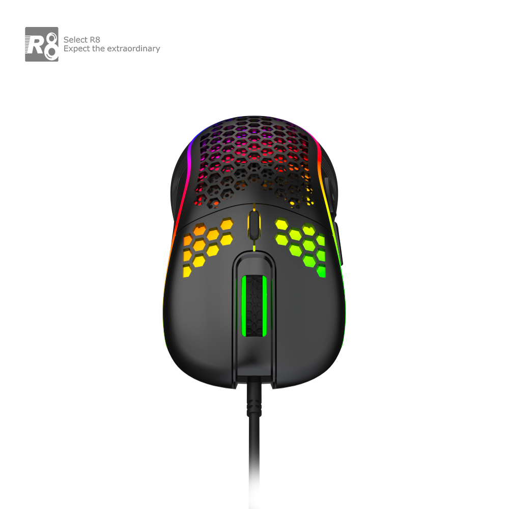 L419 透明主图 (2).png