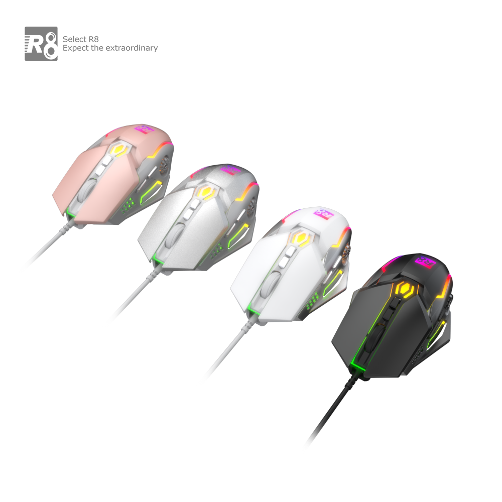 透明主图 (2).png