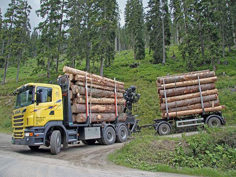 timber-truck.jpg