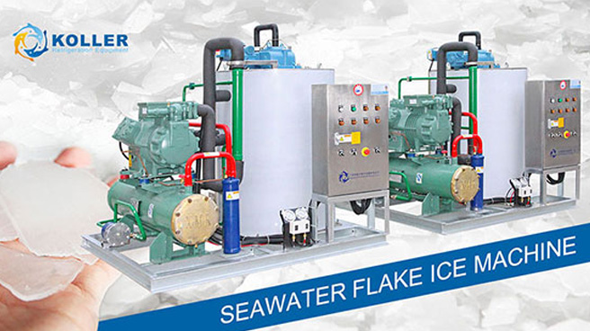 How Seawater Flake Ice Machines Keep Fish Fresh-01.jpg