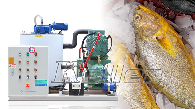 How Koller's Flake Ice Machine Can Benefit Aquatic Product Processing-01.jpg