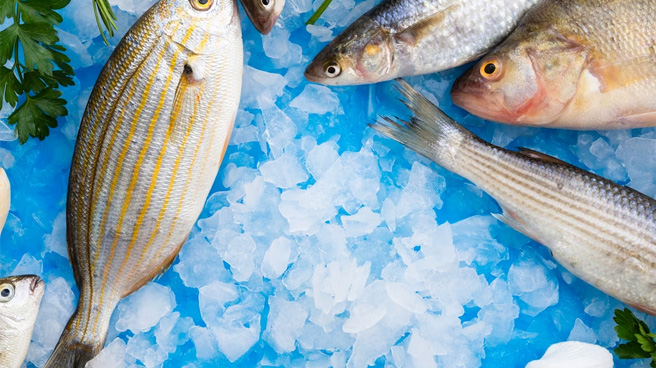 How to Maintain the Freshness of Imported Aquatic Products-01.jpg