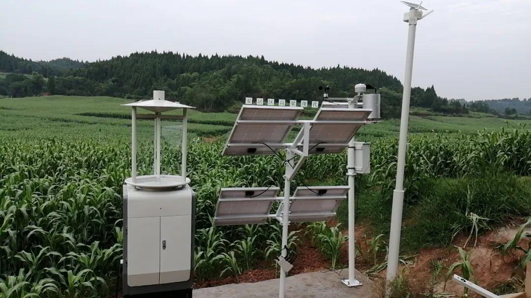 虫情监测设备在农业应用中的优势特点.jpg