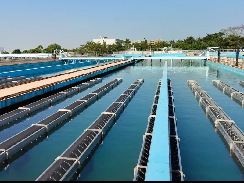 Decolorization of Amino Acids by Modified Activated Carbon