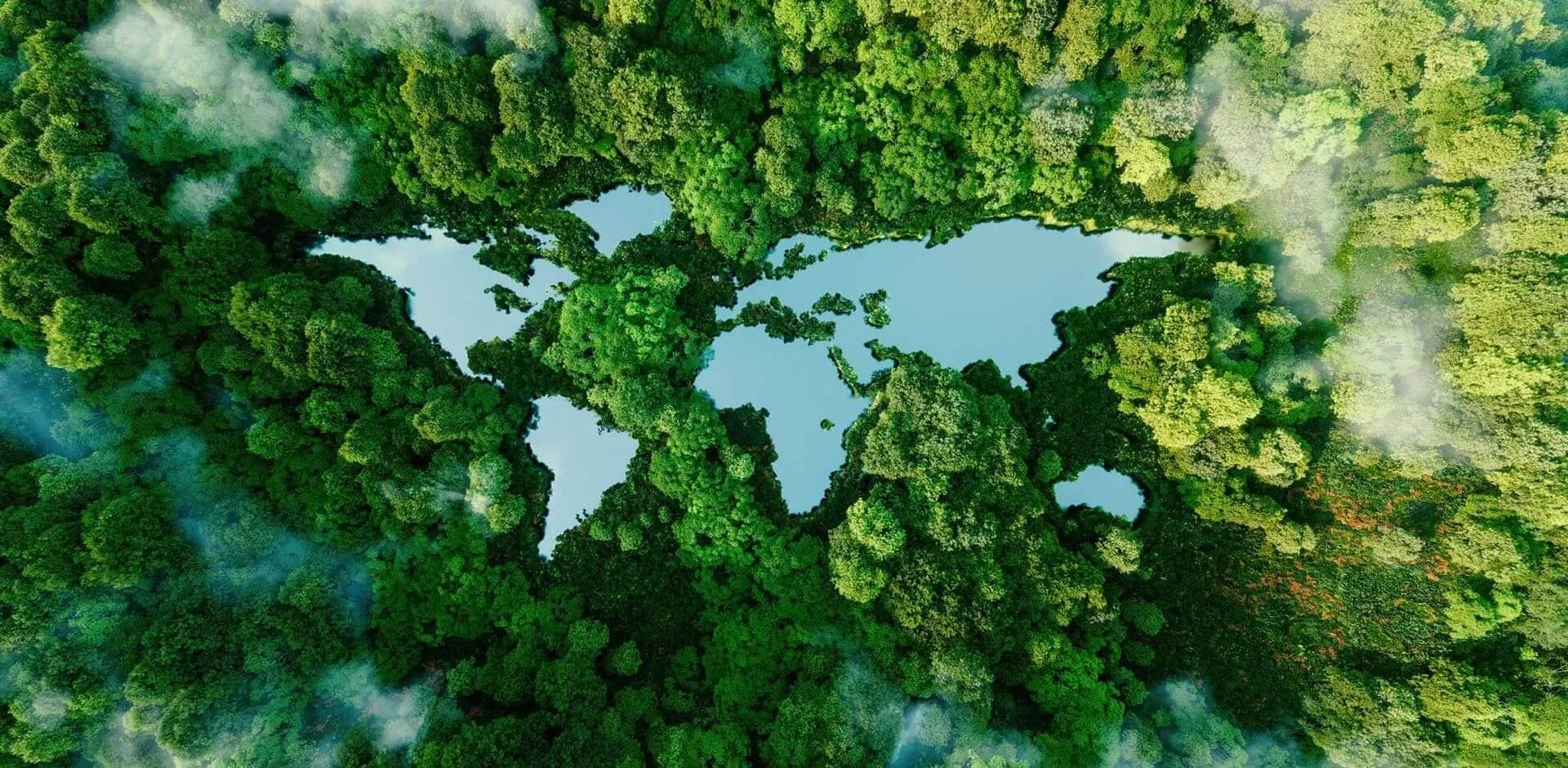 knowledge background