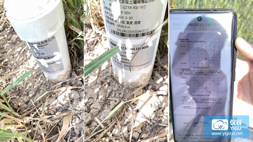 山东省德州市禹城站水分控制试验田建设-管式土壤墒情监测仪-02.jpg 