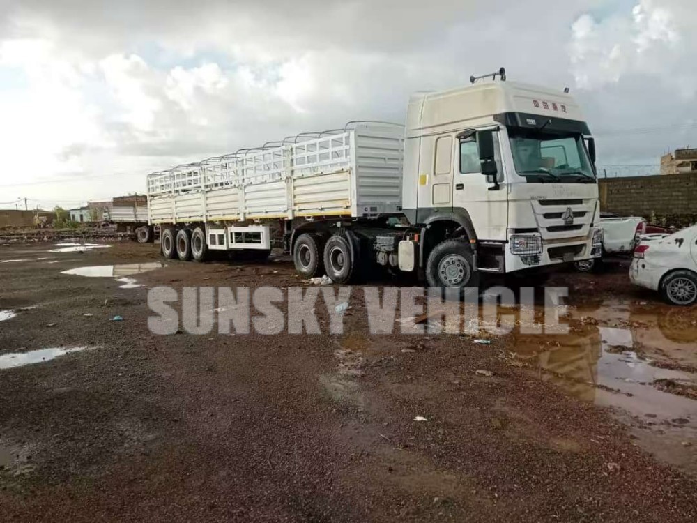 Fence Trailer for Sale in Djibouti (2).jpg