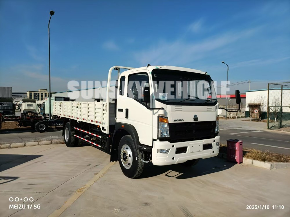 HOWO 4x2  LIGHT CARGO TRUCK.jpg 