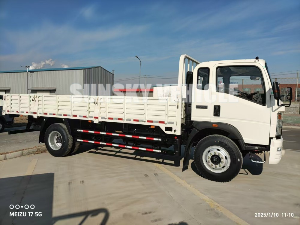 HOWO 4x2  LIGHT CARGO TRUCK FOR SALE.jpg