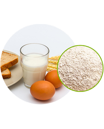 Proteins.jpg