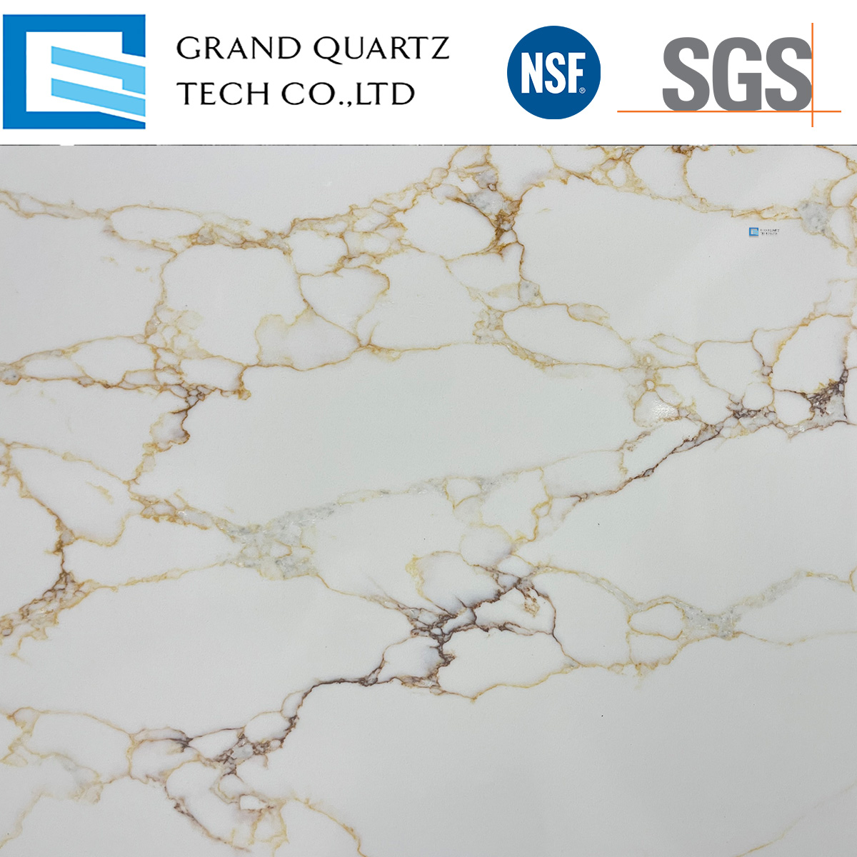 White-Quartz-with-Striking-Gold-and-Rust-Veins-GQ-T387-Closeup.jpg