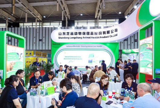 Brand Highlights3.jpg