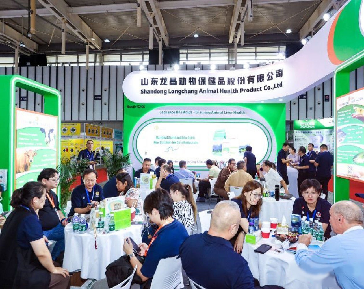 Precision Matchmaking.jpg