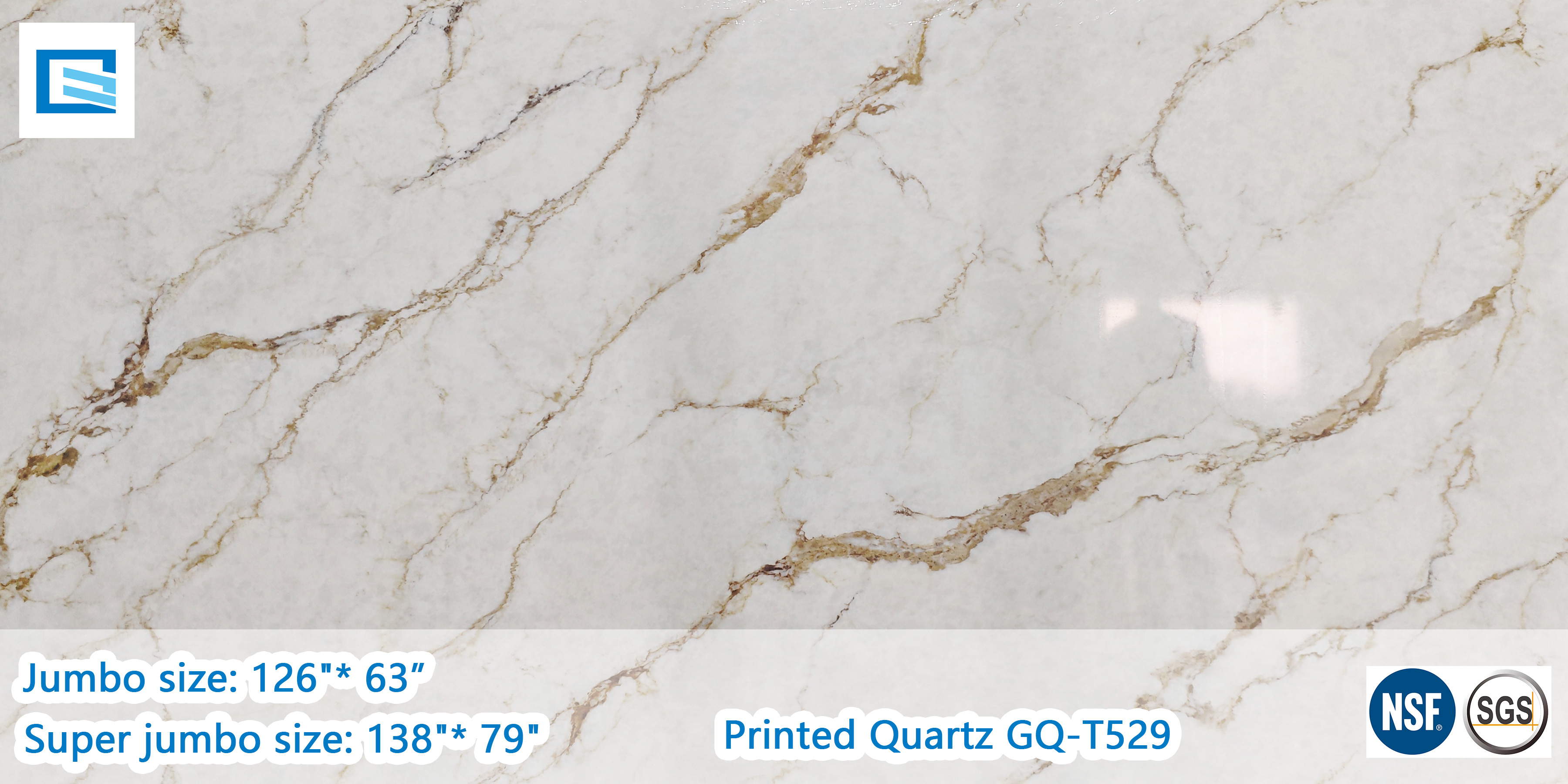GQ-T529-Printed-Quartz.jpg