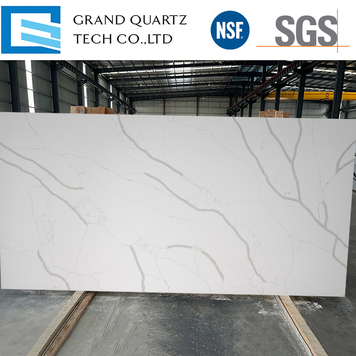 Calacatta-White-with-Gray-Veins-Quartz-GQ-T104.jpg