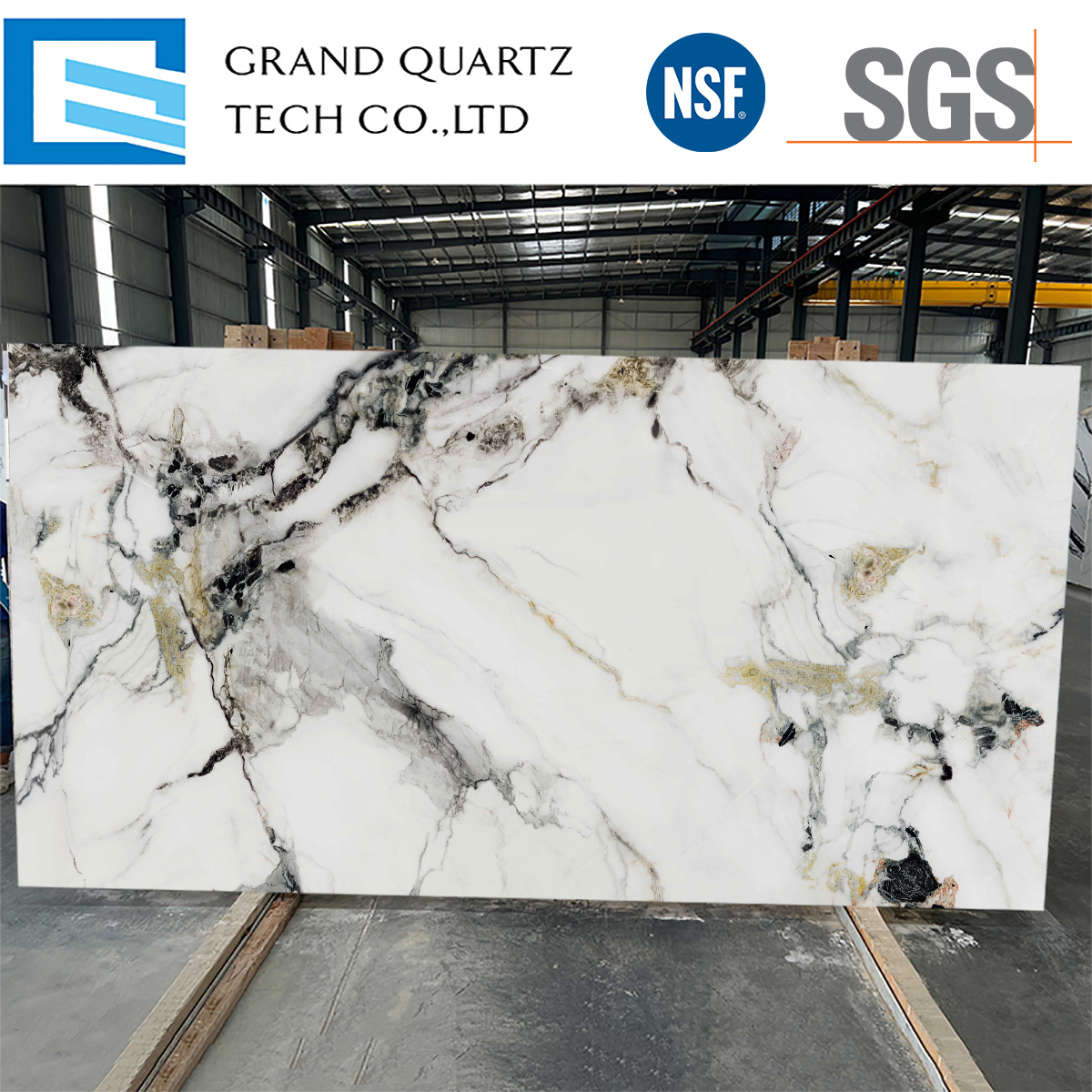 Full Body Printed Quartz GQ-T523.jpg